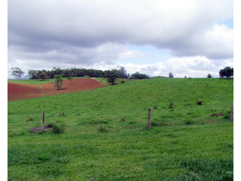 Millaa Millaa QLD 4886