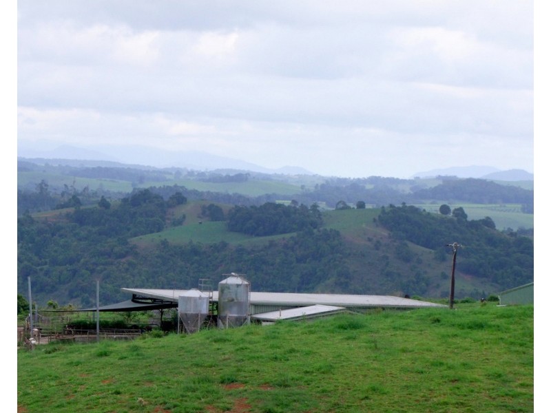 Millaa Millaa QLD 4886