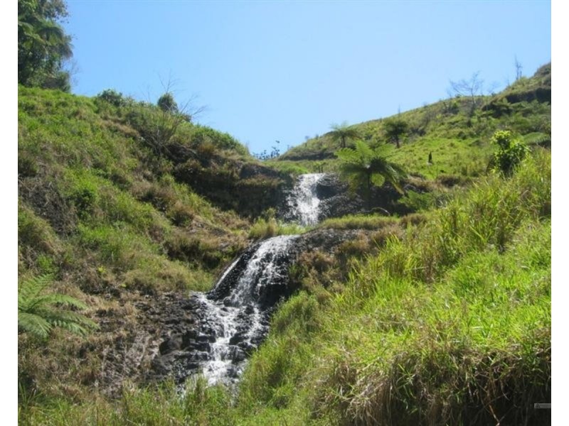 Millaa Millaa QLD 4886