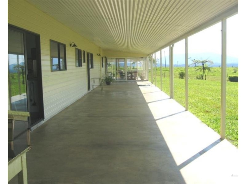 Millaa Millaa QLD 4886