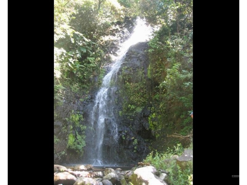 Millaa Millaa QLD 4886