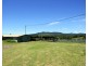 Millaa Millaa QLD 4886