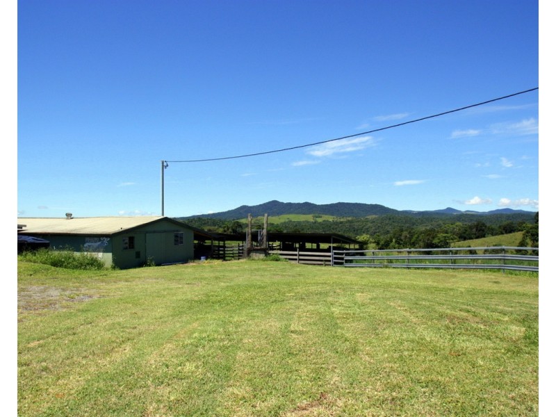 Millaa Millaa QLD 4886