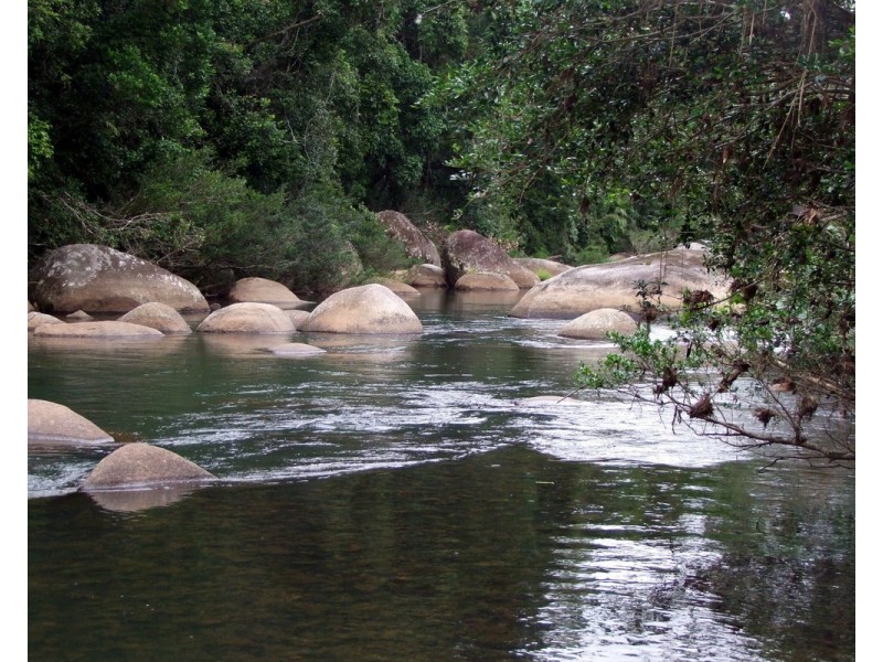 Millaa Millaa QLD 4886