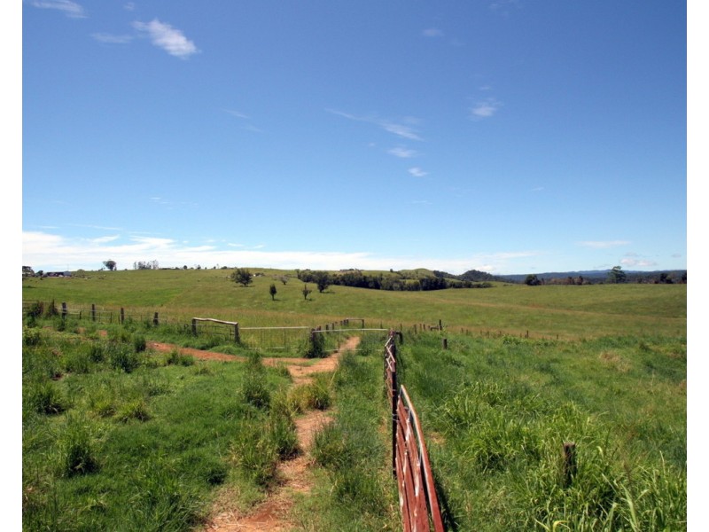 Millaa Millaa QLD 4886