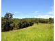 Millaa Millaa QLD 4886
