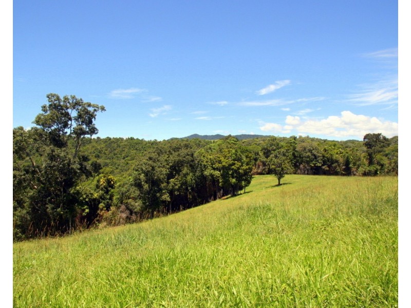 Millaa Millaa QLD 4886