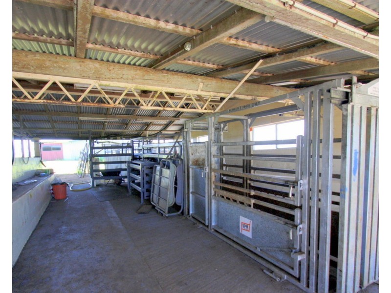 Millaa Millaa QLD 4886