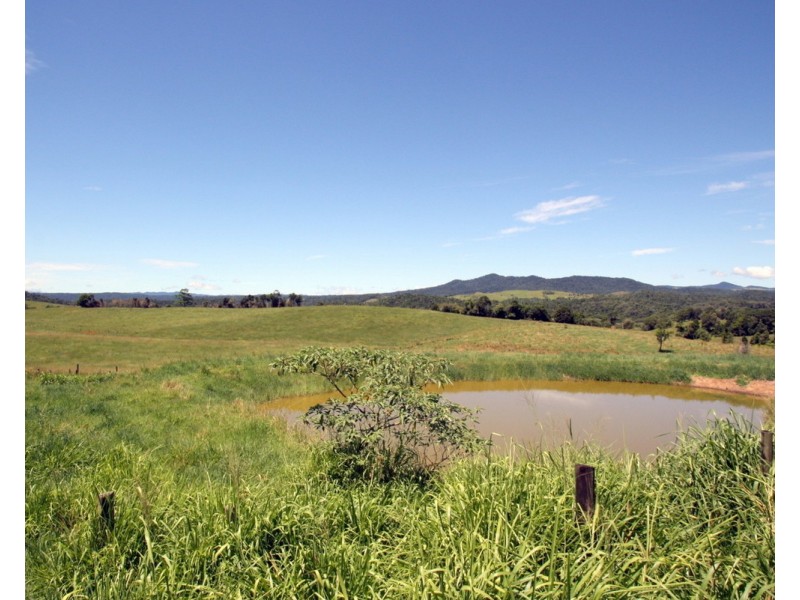 Millaa Millaa QLD 4886