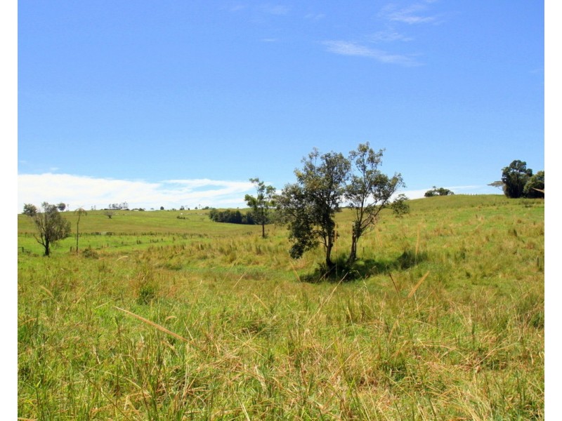 Millaa Millaa QLD 4886
