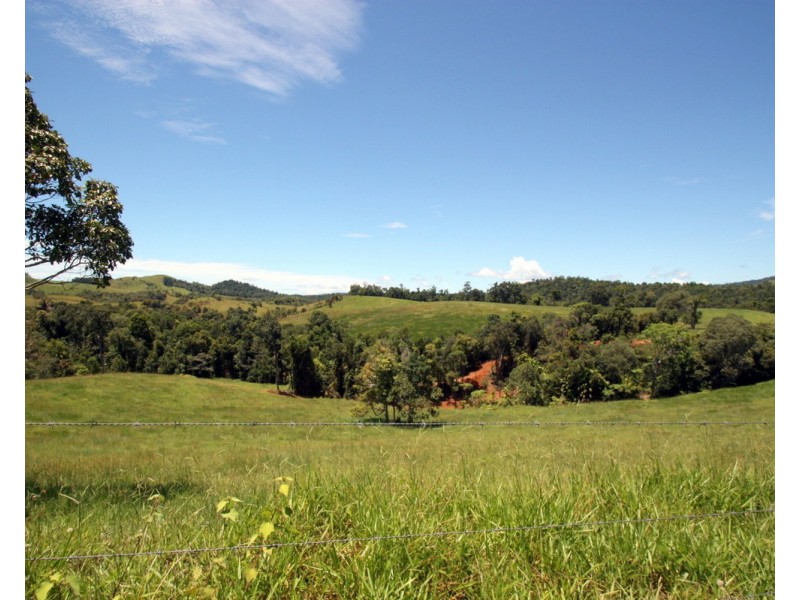 Millaa Millaa QLD 4886