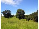 Millaa Millaa QLD 4886