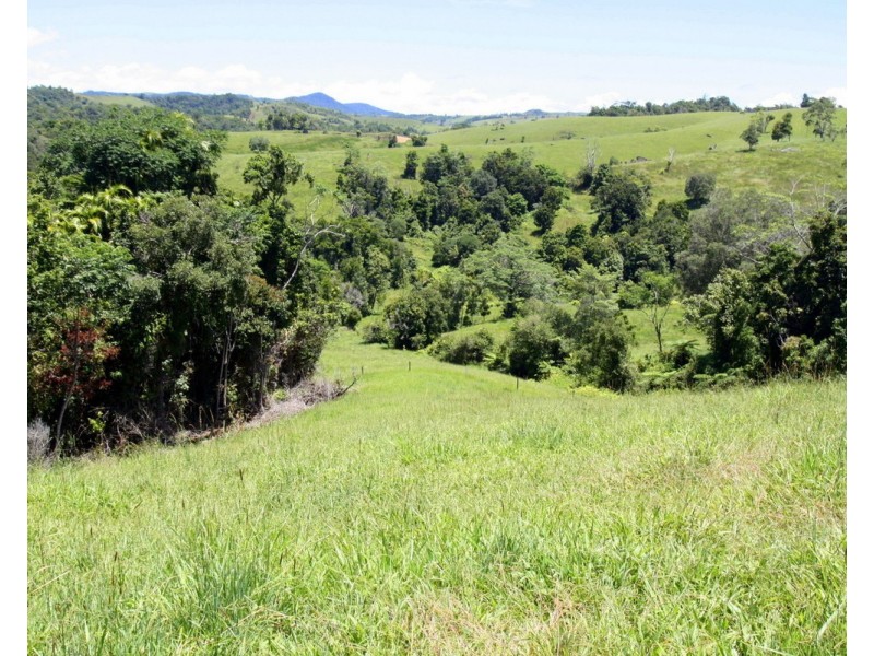 Millaa Millaa QLD 4886