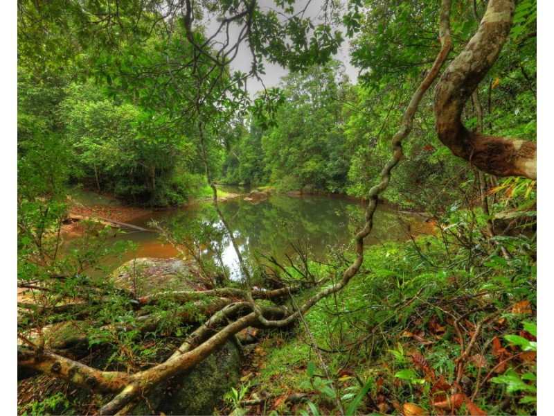 LS1676/289 Mullins Road, Millaa Millaa QLD 4886