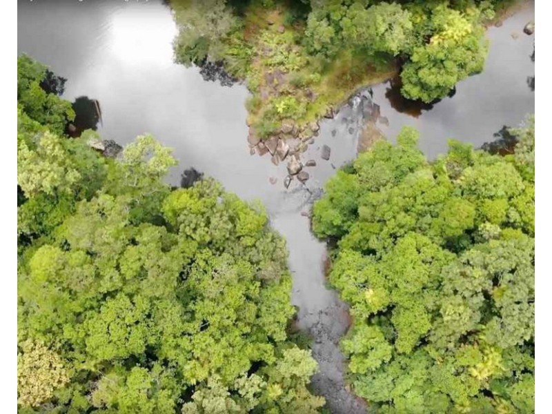 LS1676/289 Mullins Road, Millaa Millaa QLD 4886