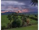 Millaa Millaa QLD 4886