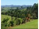 Millaa Millaa QLD 4886