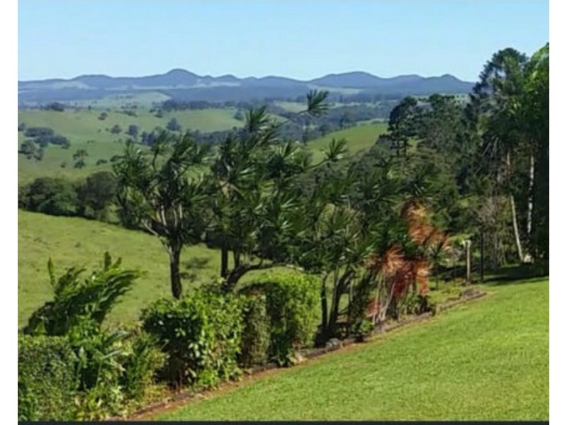 Millaa Millaa QLD 4886