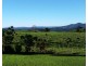 Millaa Millaa QLD 4886