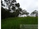 Upper Barron QLD 4883