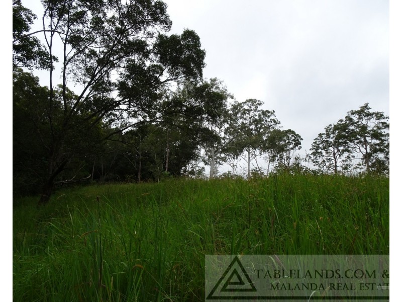 Upper Barron QLD 4883