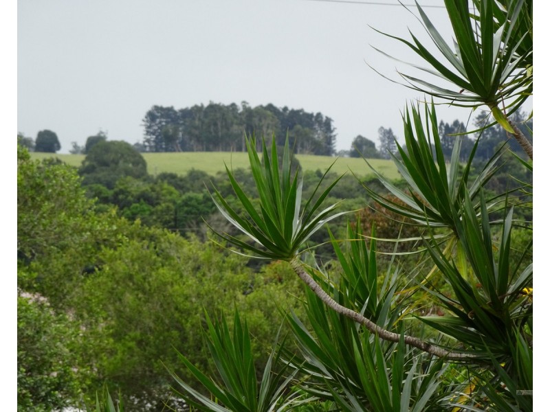 Malanda QLD 4885