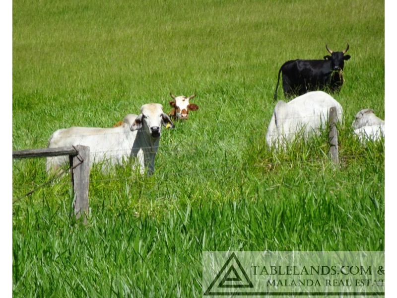 Barrine QLD 4872