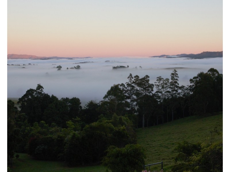 Barrine QLD 4872