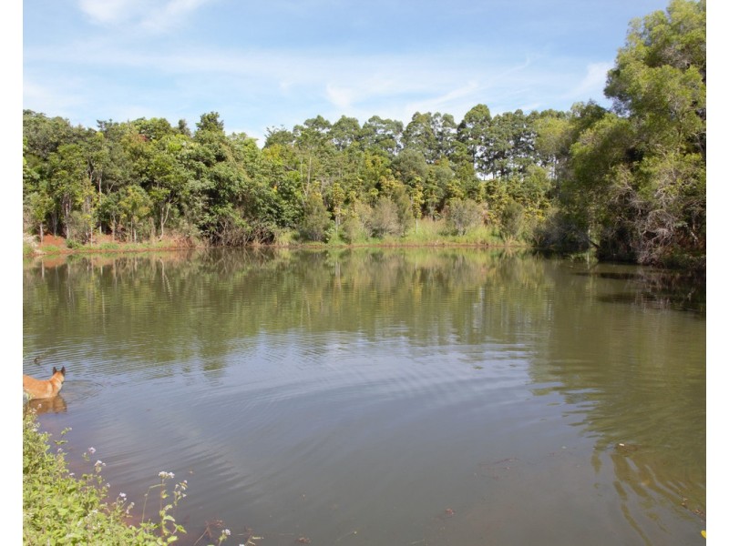 Barrine QLD 4872