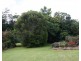 Barrine QLD 4872