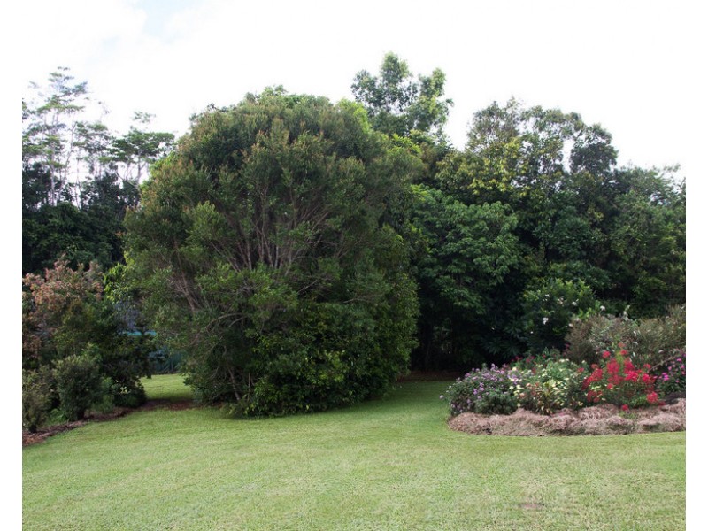 Barrine QLD 4872