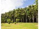 Barrine QLD 4872