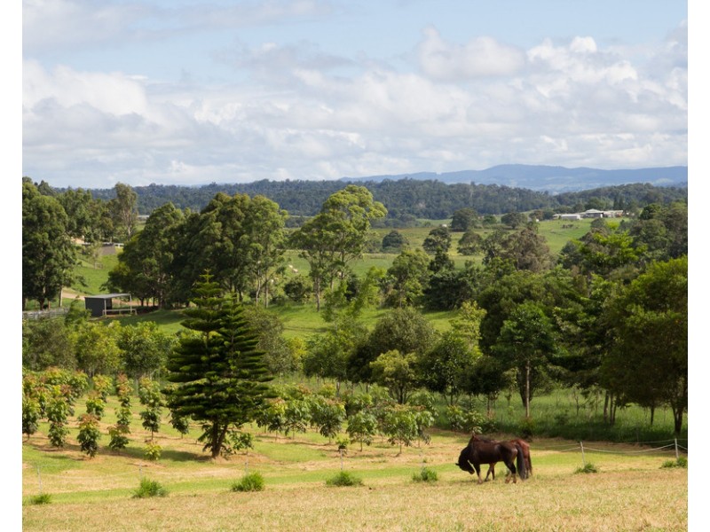 Barrine QLD 4872