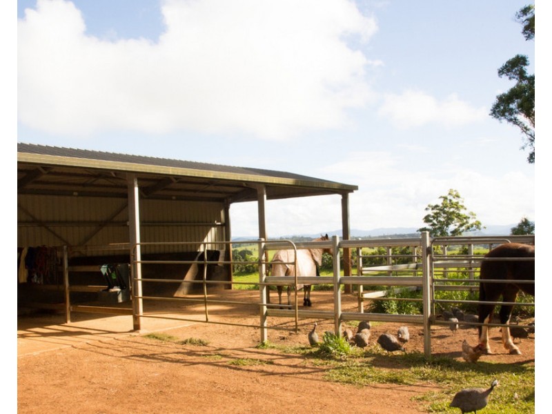 Barrine QLD 4872