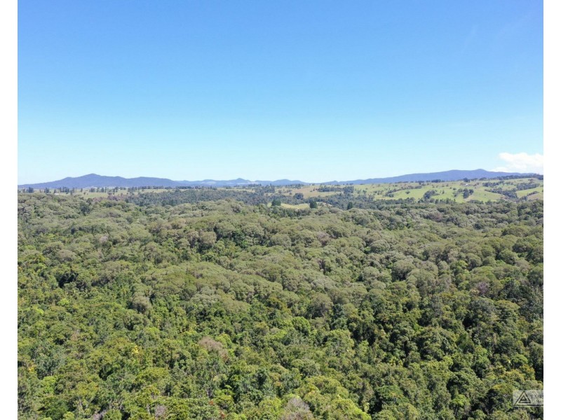 Ellinjaa QLD 4886