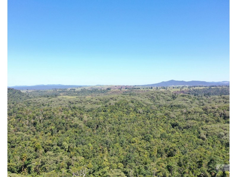 Ellinjaa QLD 4886