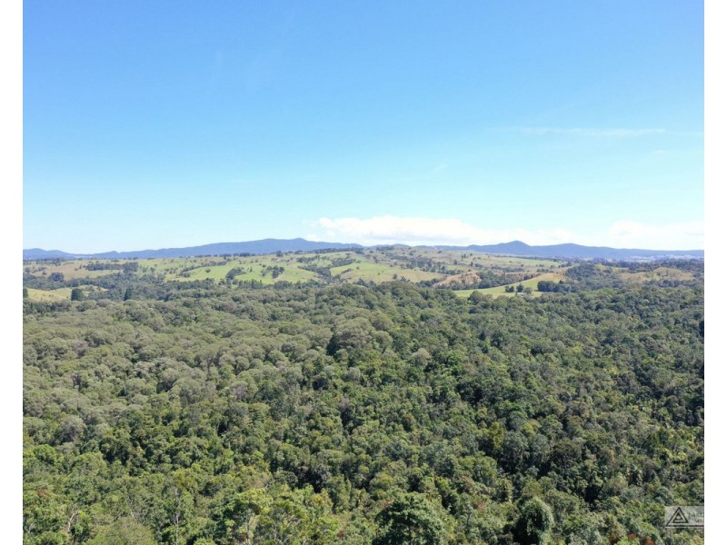 Ellinjaa QLD 4886