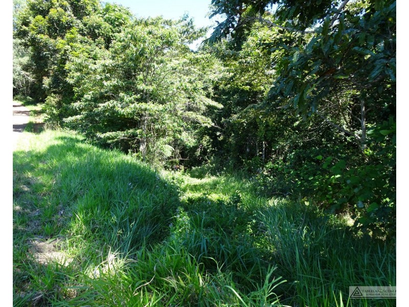 Ellinjaa QLD 4886