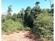 Ellinjaa QLD 4886