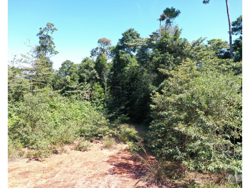 Ellinjaa QLD 4886