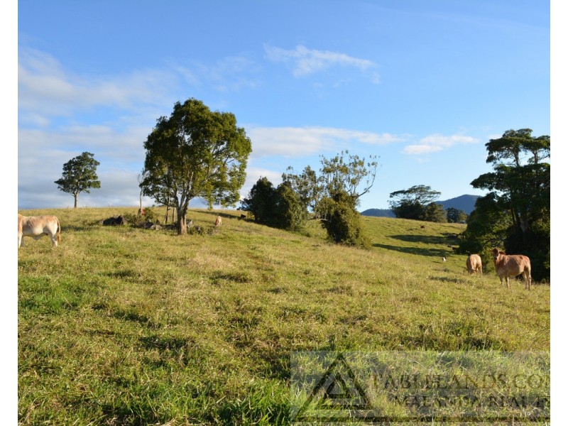 Millaa Millaa QLD 4886