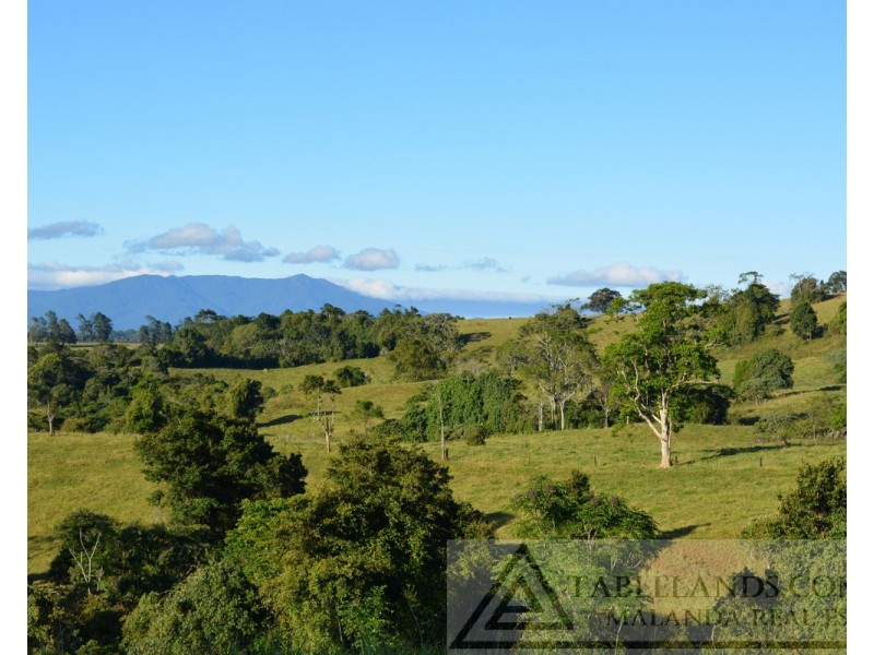 Millaa Millaa QLD 4886