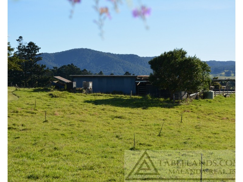 Millaa Millaa QLD 4886