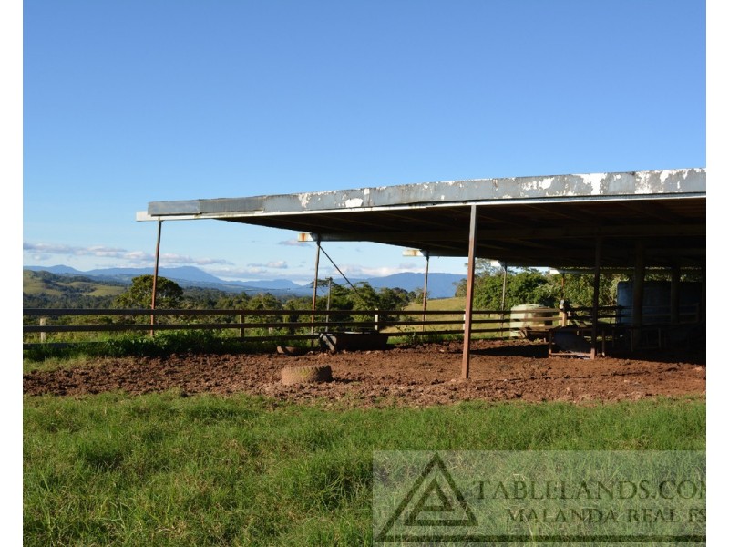 Millaa Millaa QLD 4886