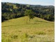 Millaa Millaa QLD 4886