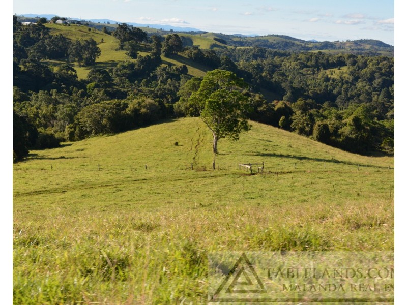Millaa Millaa QLD 4886