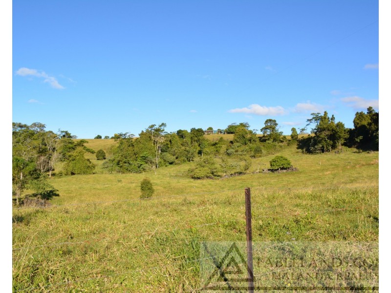 Millaa Millaa QLD 4886