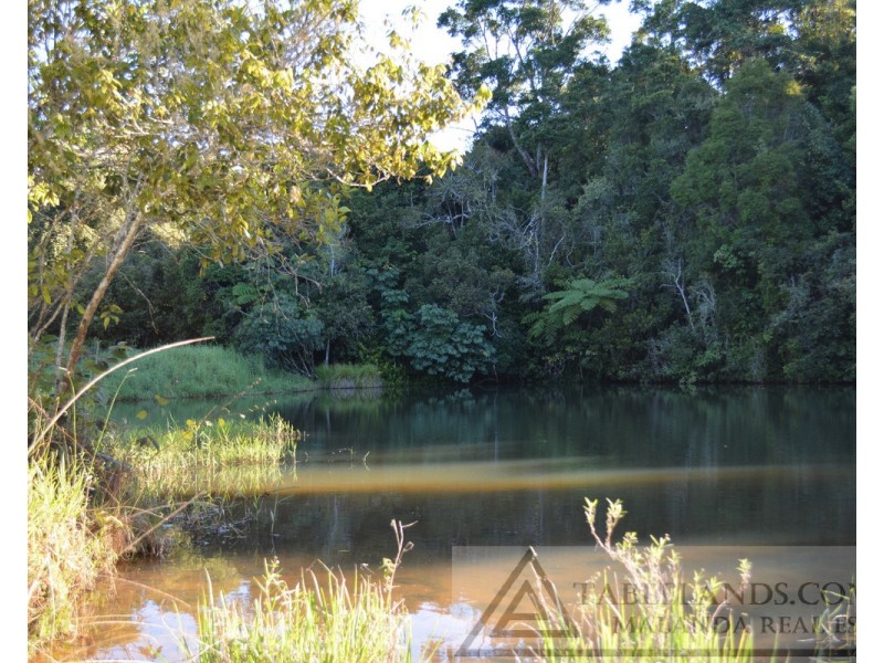 Millaa Millaa QLD 4886