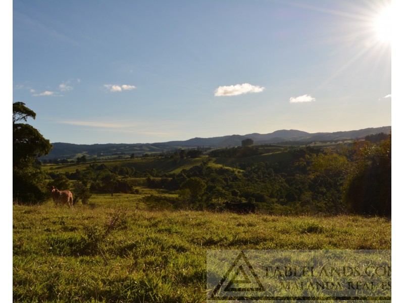 Millaa Millaa QLD 4886