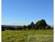 Millaa Millaa QLD 4886